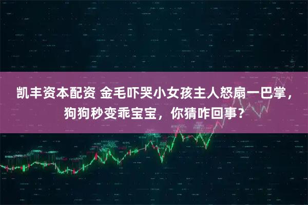 凯丰资本配资 金毛吓哭小女孩主人怒扇一巴掌，狗狗秒变乖宝宝，你猜咋回事？