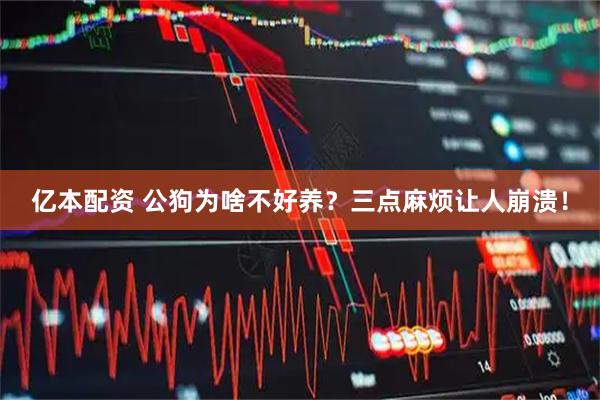 亿本配资 公狗为啥不好养？三点麻烦让人崩溃！