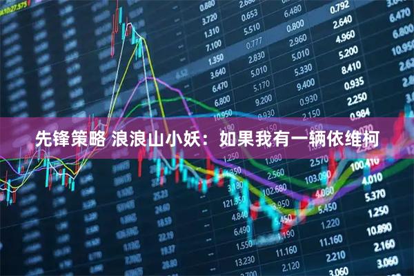 先锋策略 浪浪山小妖：如果我有一辆依维柯
