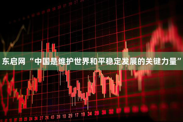 东启网 “中国是维护世界和平稳定发展的关键力量”