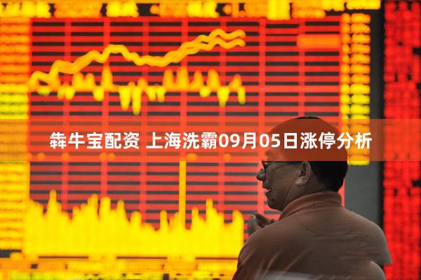 犇牛宝配资 上海洗霸09月05日涨停分析
