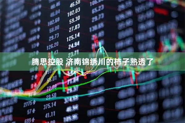 腾思控股 济南锦绣川的柿子熟透了